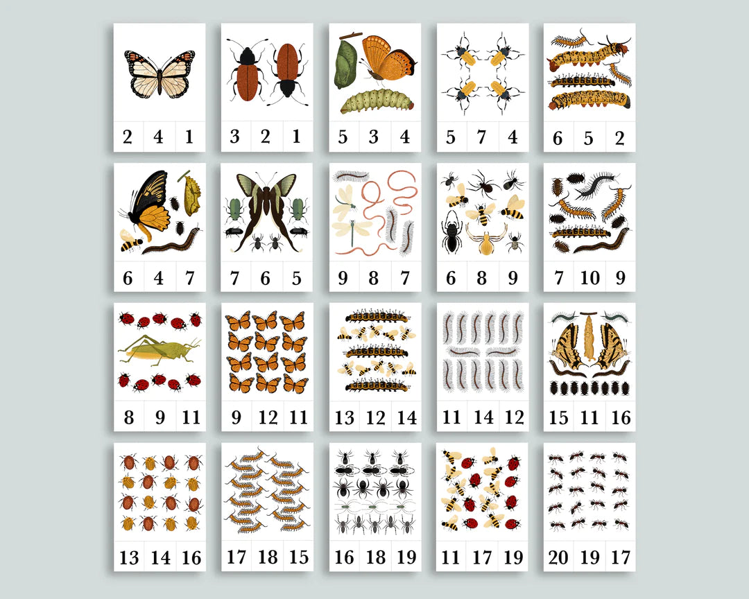 Bug Counting Bundle