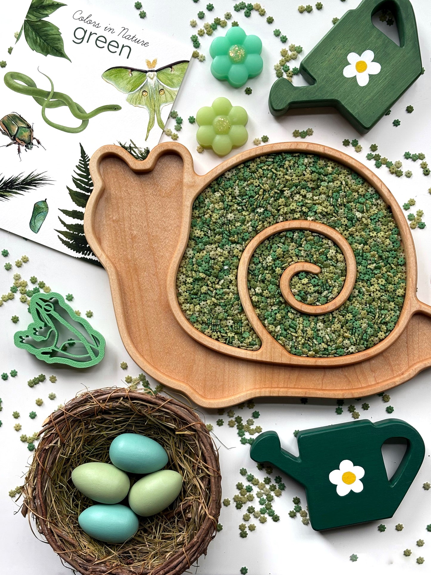 Wood Snail Tray