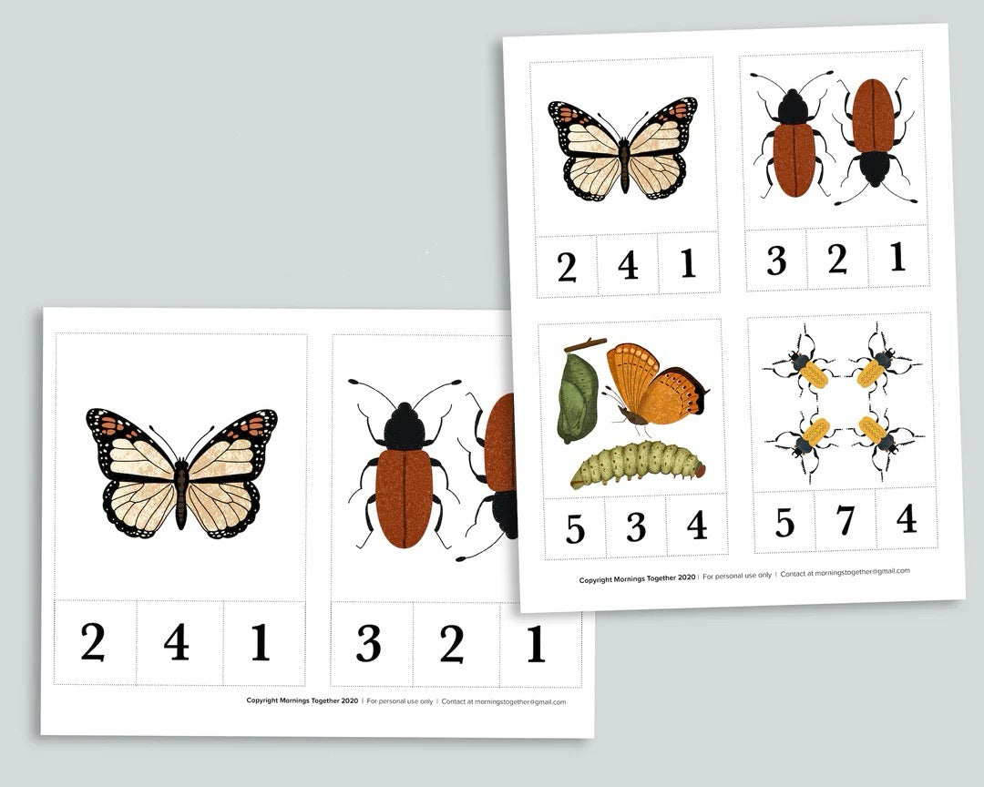 Bug Counting Bundle