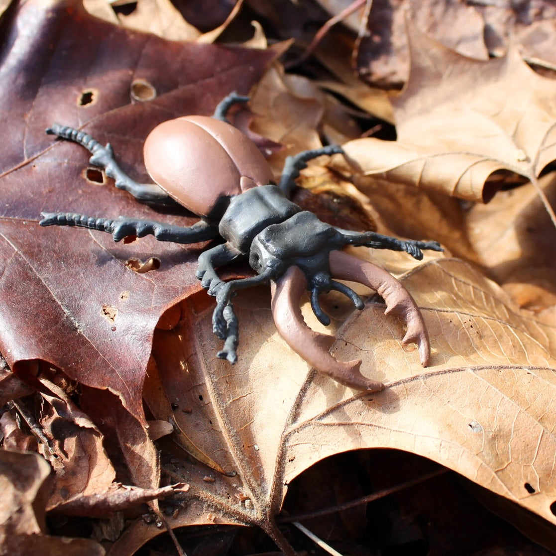 Safari Ltd. Life Cycle of a Stag Beetle