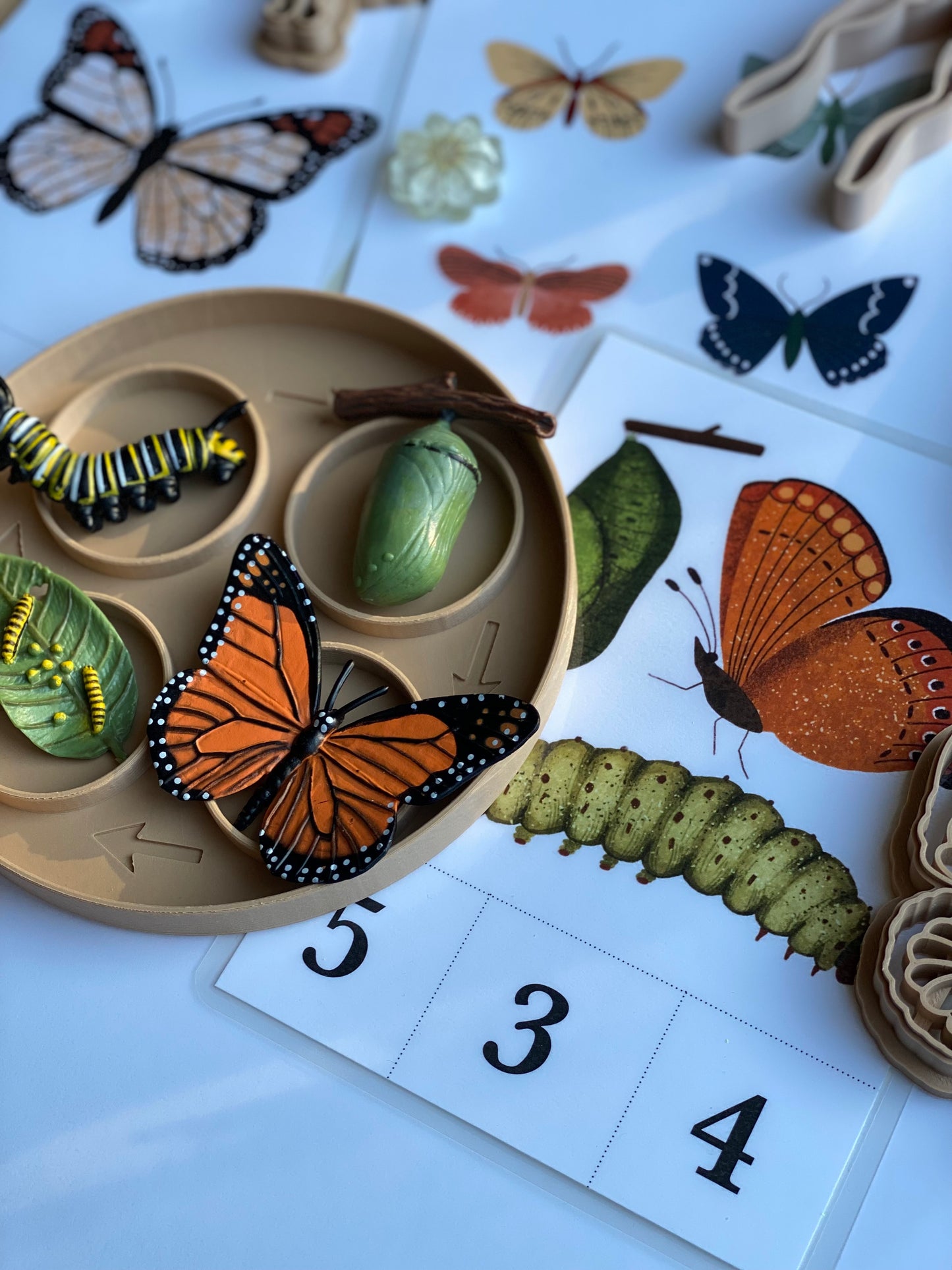 Bug Counting Bundle