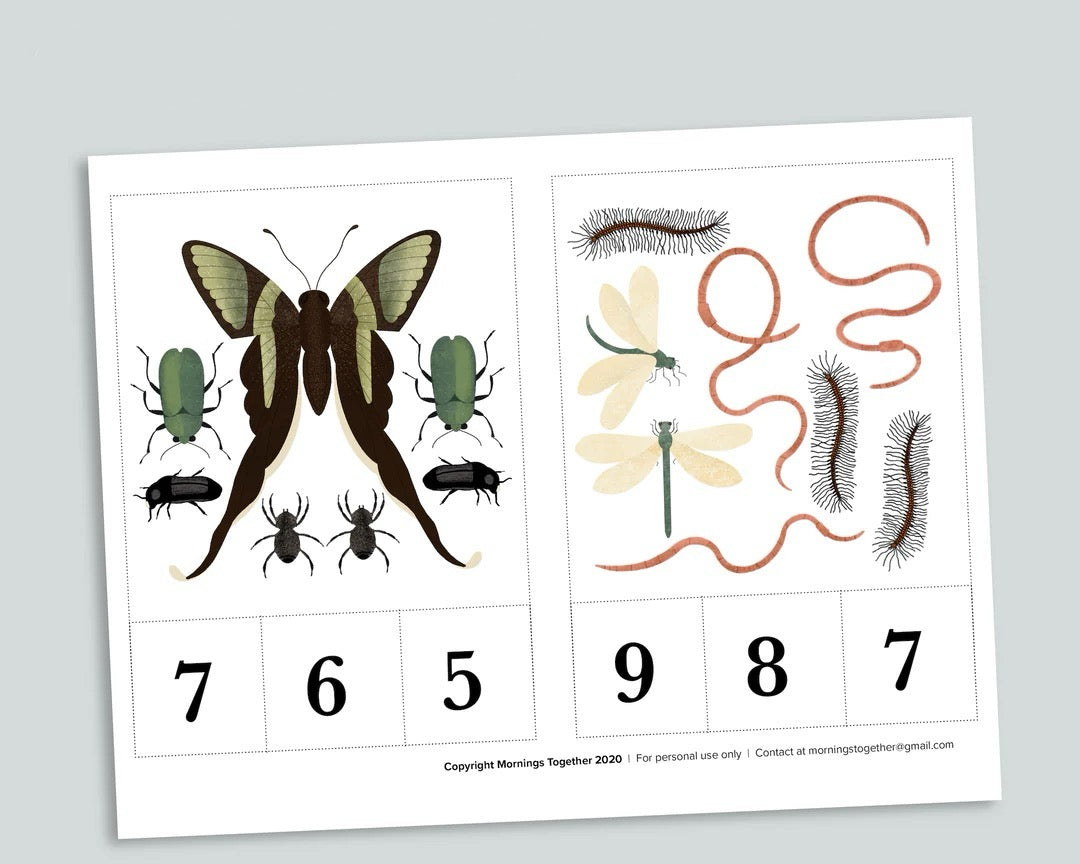 Bug Counting Bundle