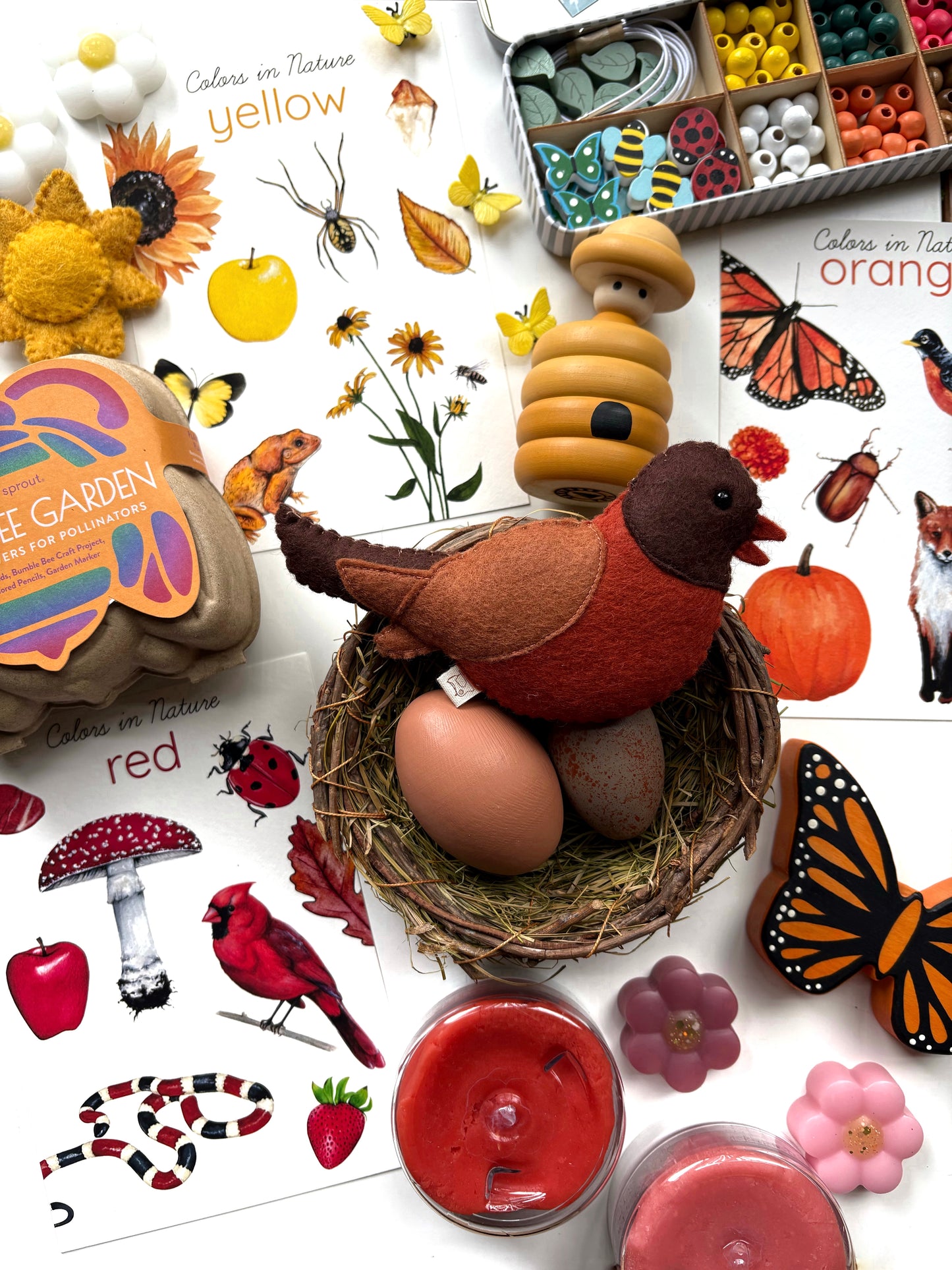 Backyard Nature Art Cards, Colors in Nature