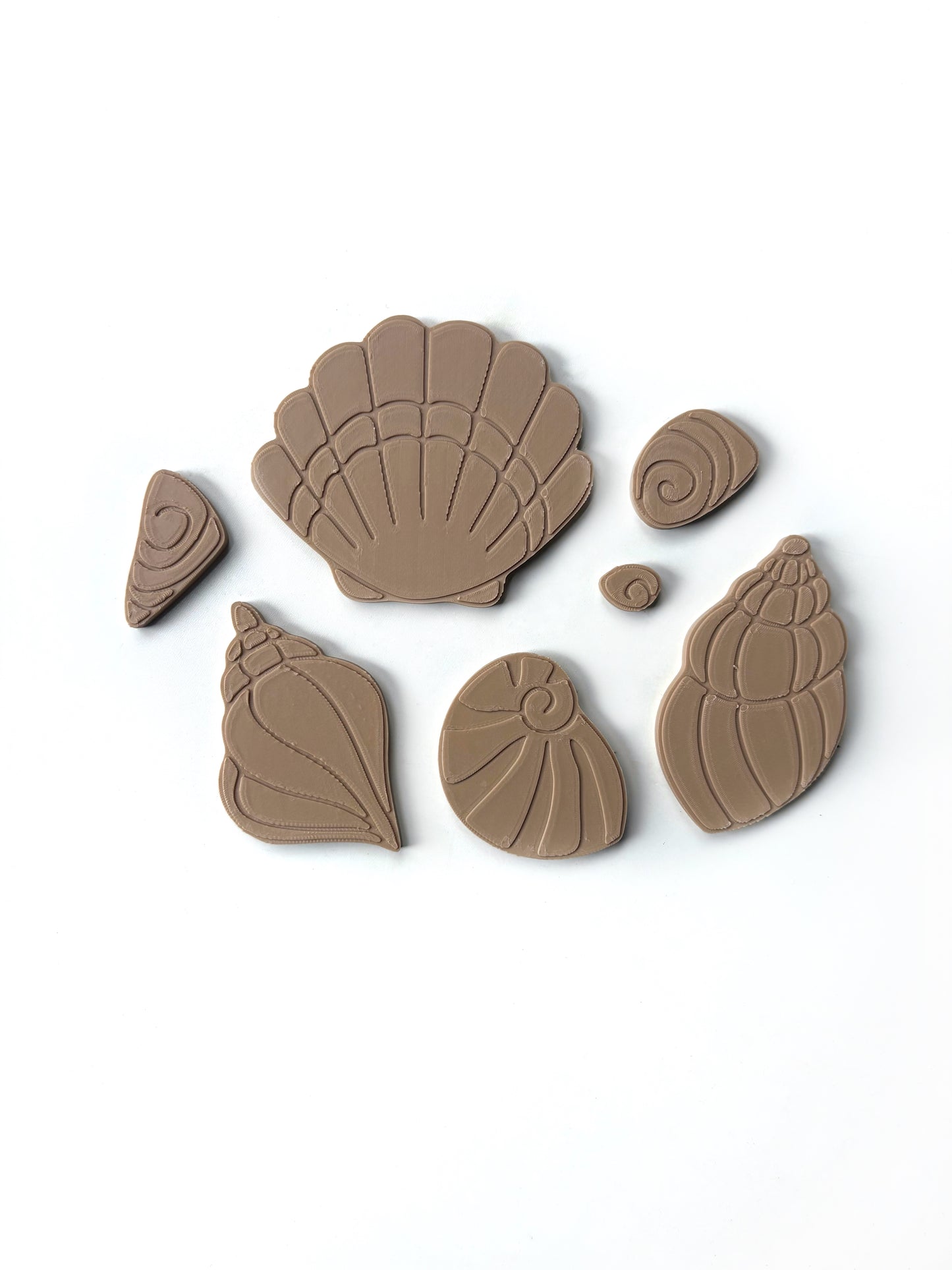 Seashell Sensory Fillers by T. C. Play