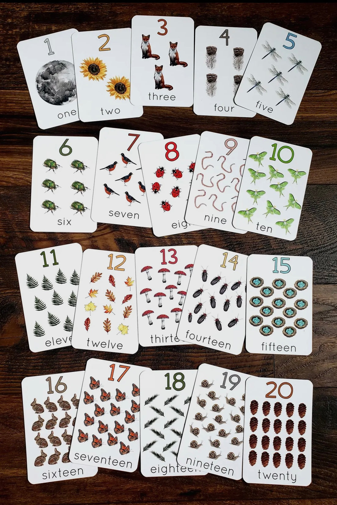 Backyard Nature Flash Cards, Numbers 1-20