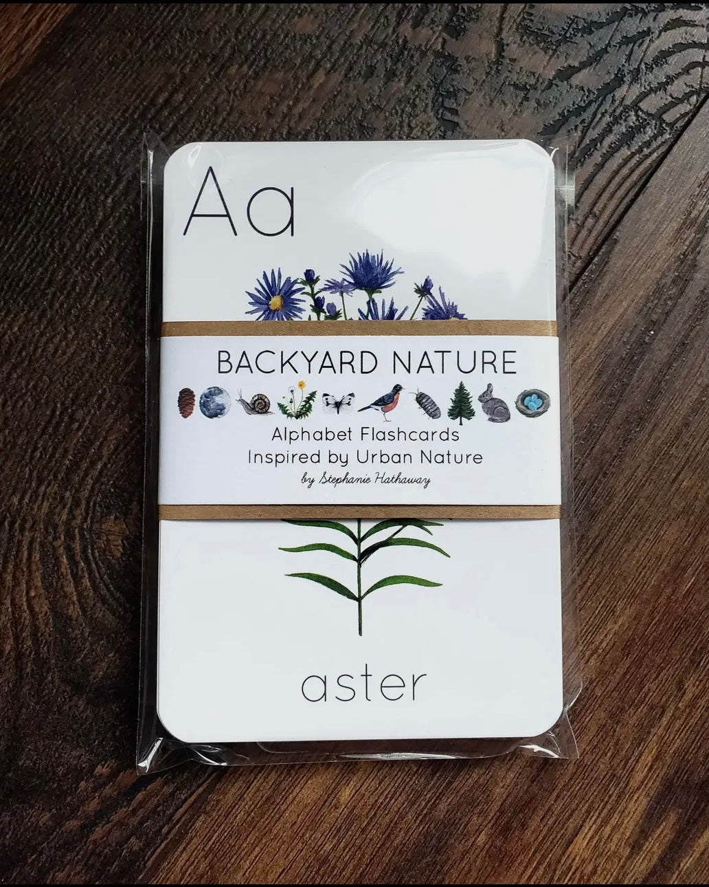 Backyard Nature Alphabet Flashcards