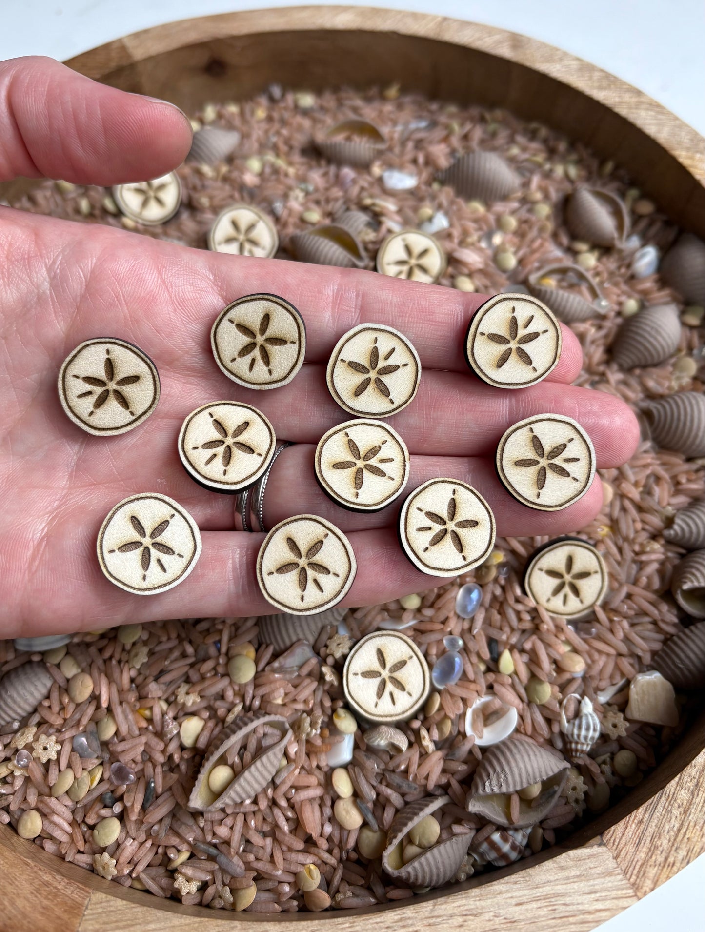 Mini Wood Sand Dollar Sensory Fillers