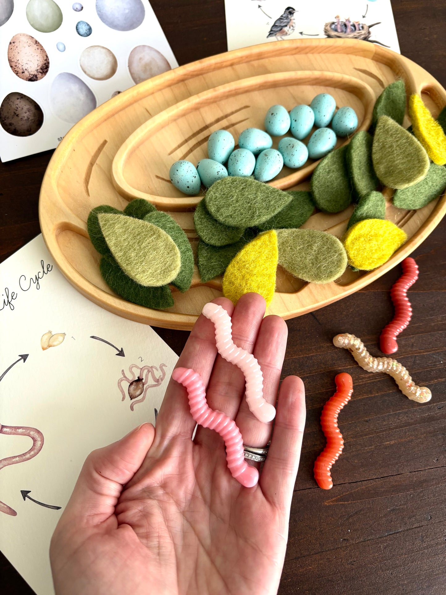 Resin Worm Set