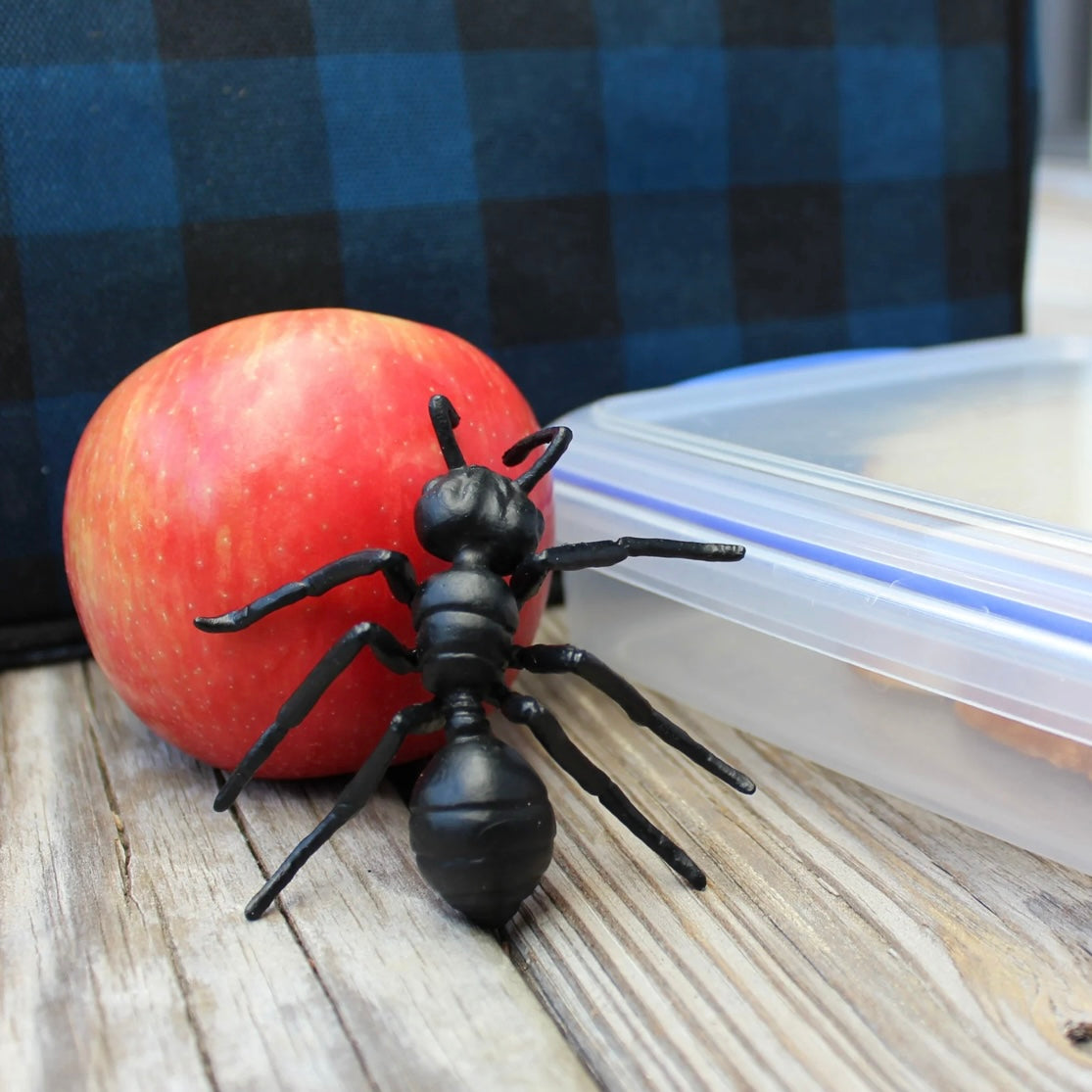 Safari Ltd. Life Cycle of an Ant