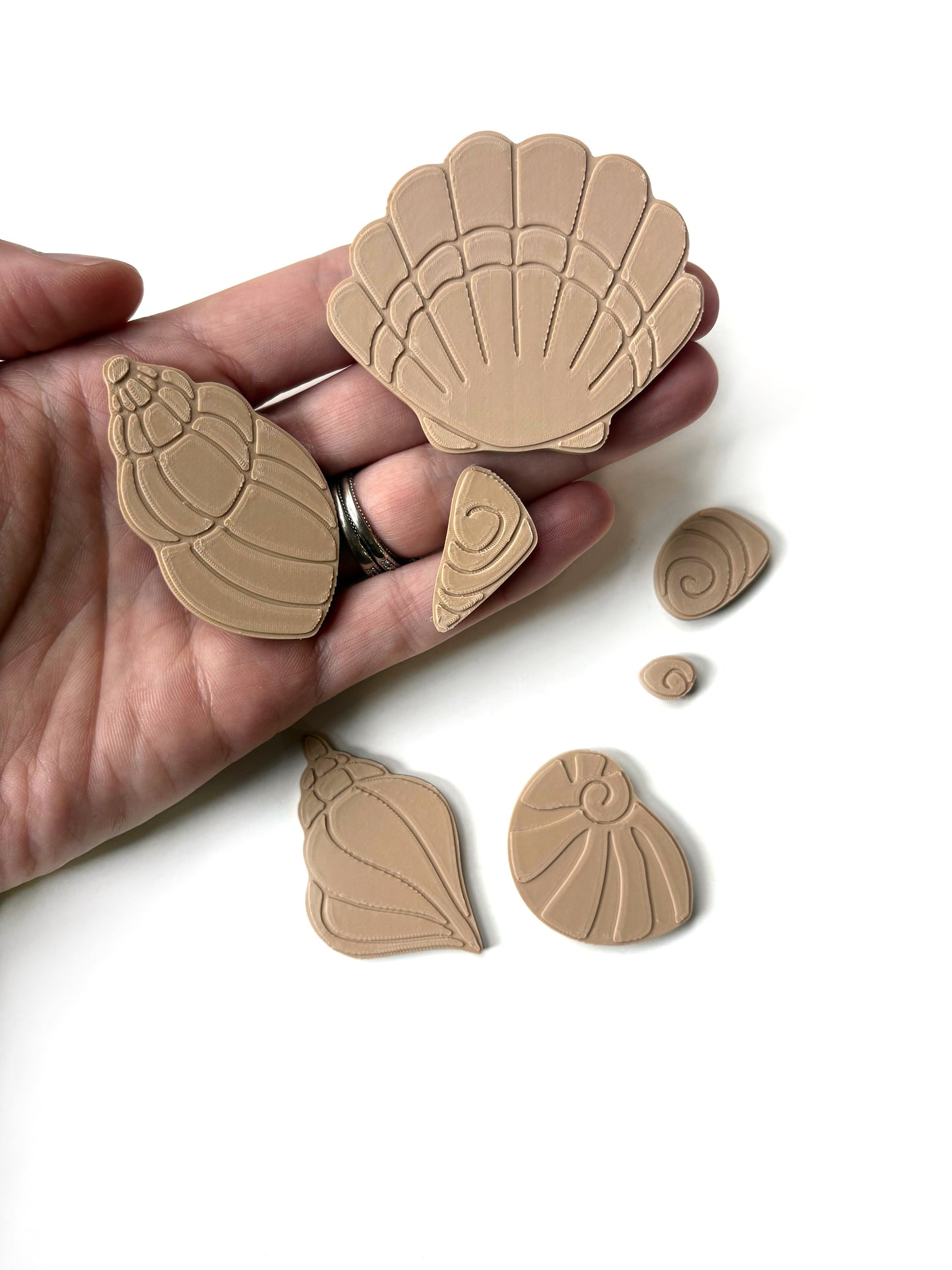 Seashell Sensory Fillers by T. C. Play