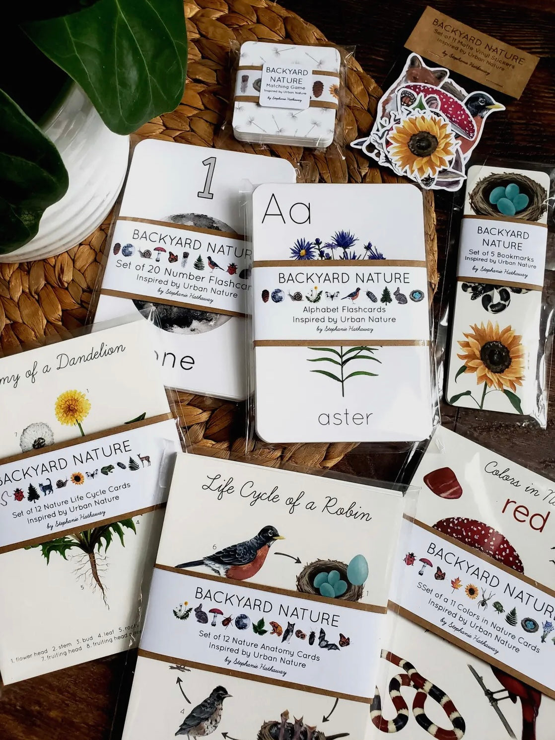 Backyard Nature Flash Cards, Numbers 1-20
