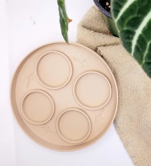 Life Cycle Eco-friendly PLA Sensory Tray by T. C. Play