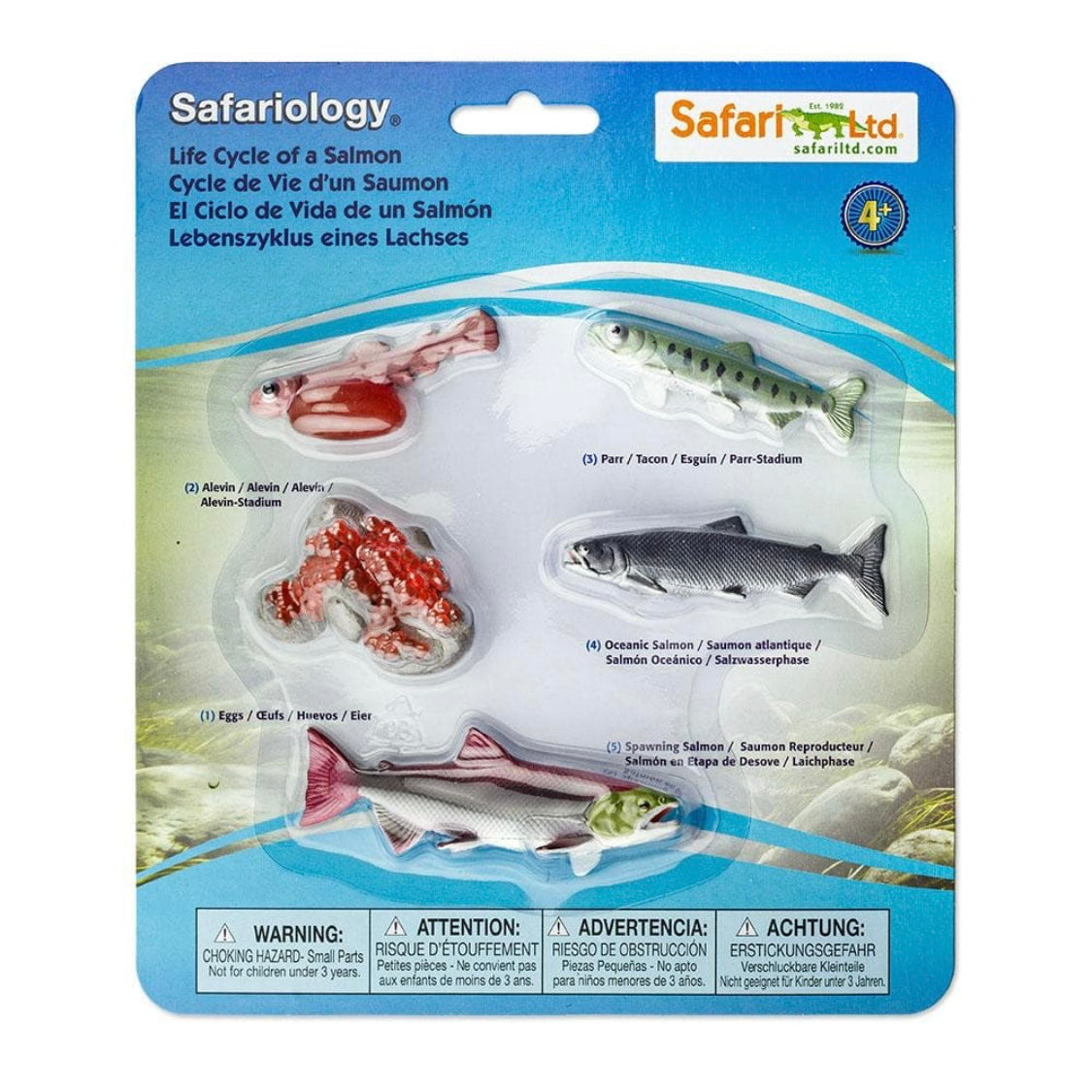 Safari Ltd. Life Cycle of a Salmon