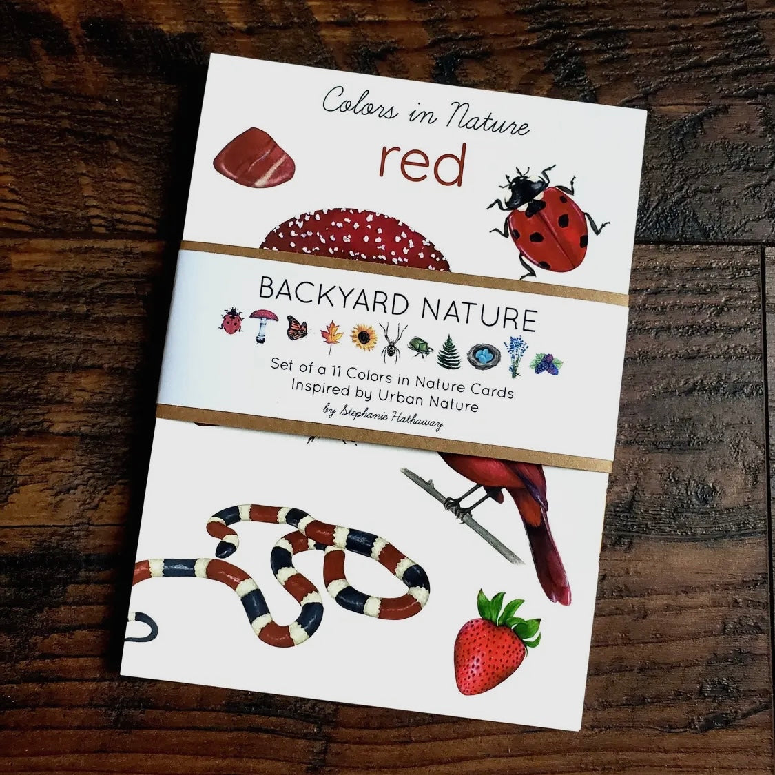Backyard Nature Art Cards, Colors in Nature