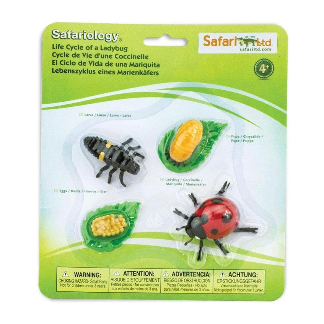 Safari Ltd. Life Cycle of a Ladybug