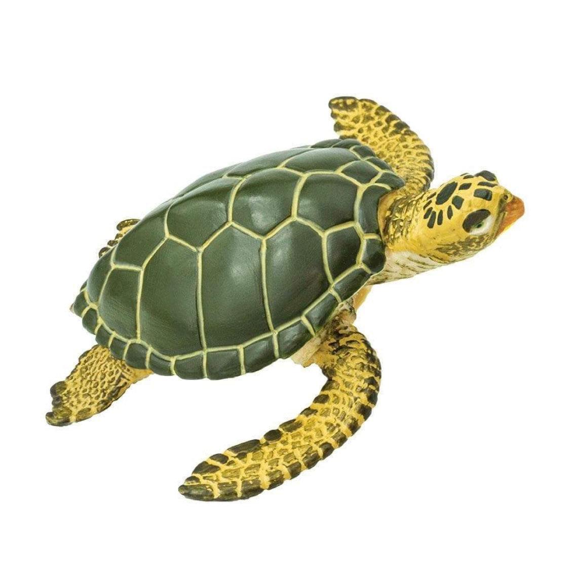 Safari Ltd. Green Sea Turtle Toy