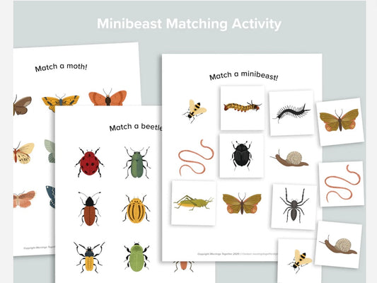 Minibeast Matching Activity Bundle