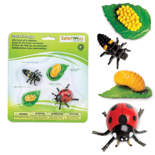 Safari Ltd. Life Cycle of a Ladybug