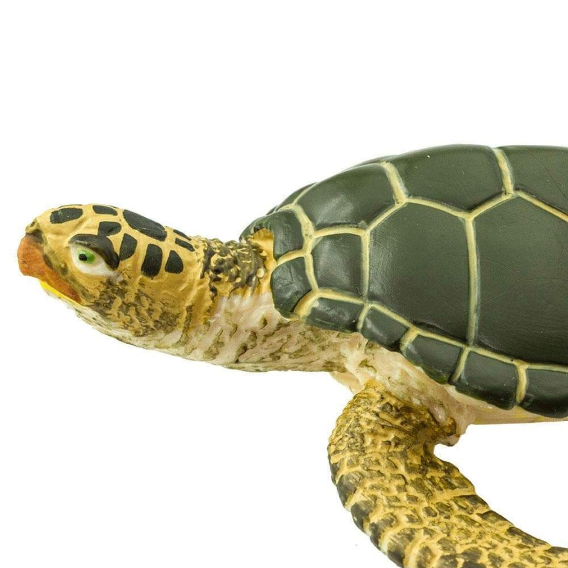 Safari Ltd. Green Sea Turtle Toy