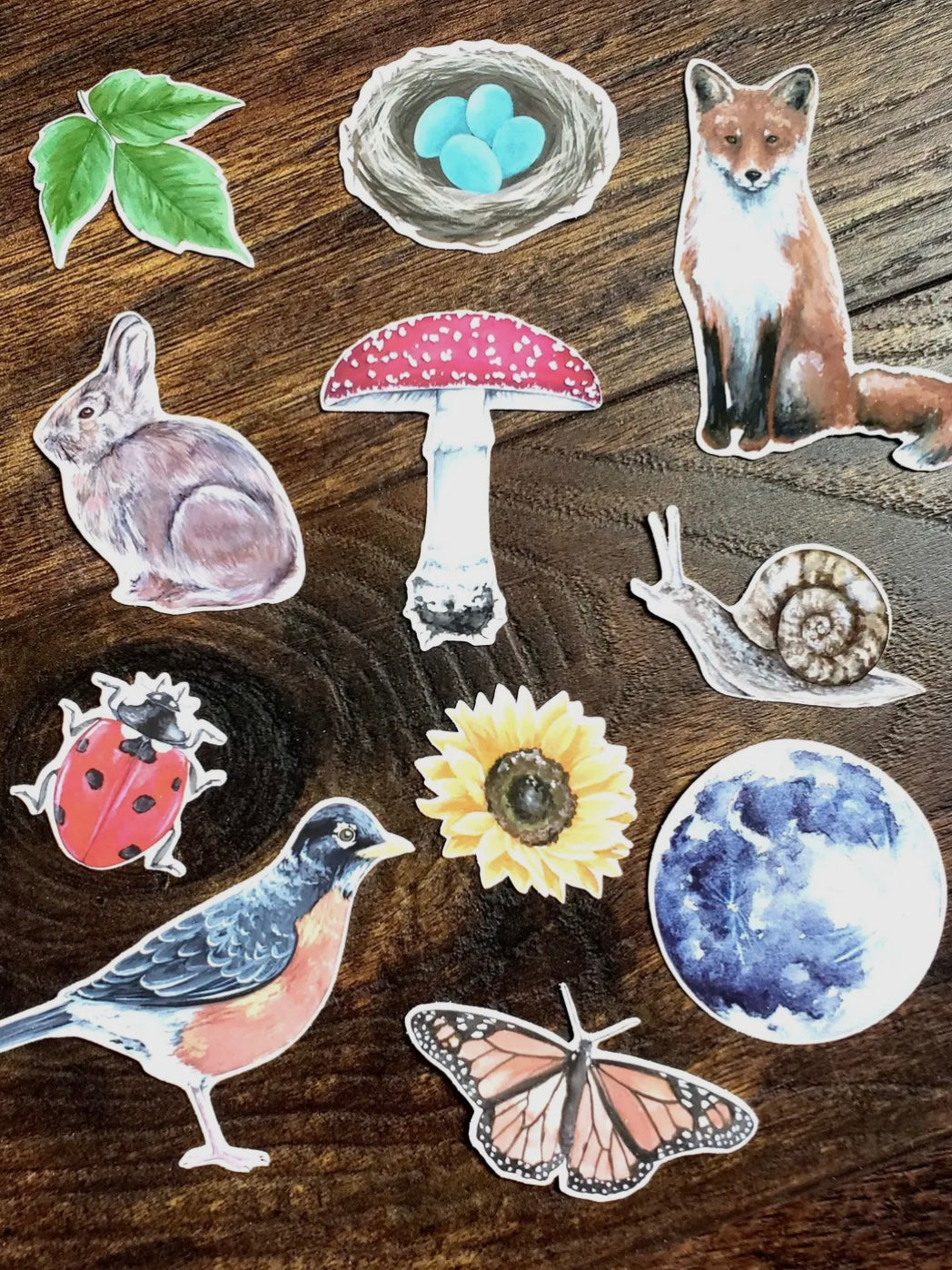 Backyard Nature Sticker Pack, Set of 11