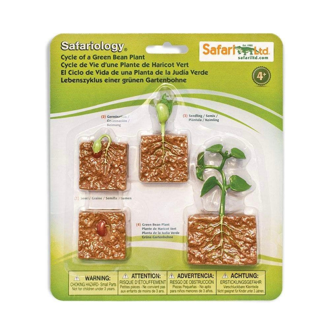 Safari Ltd. Life Cycle of a Green Bean Plant