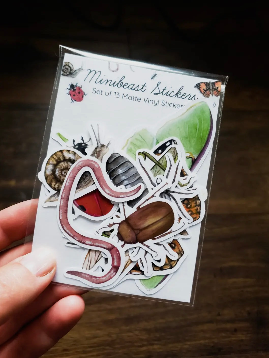 Minibeast Sticker Pack, Set of 13