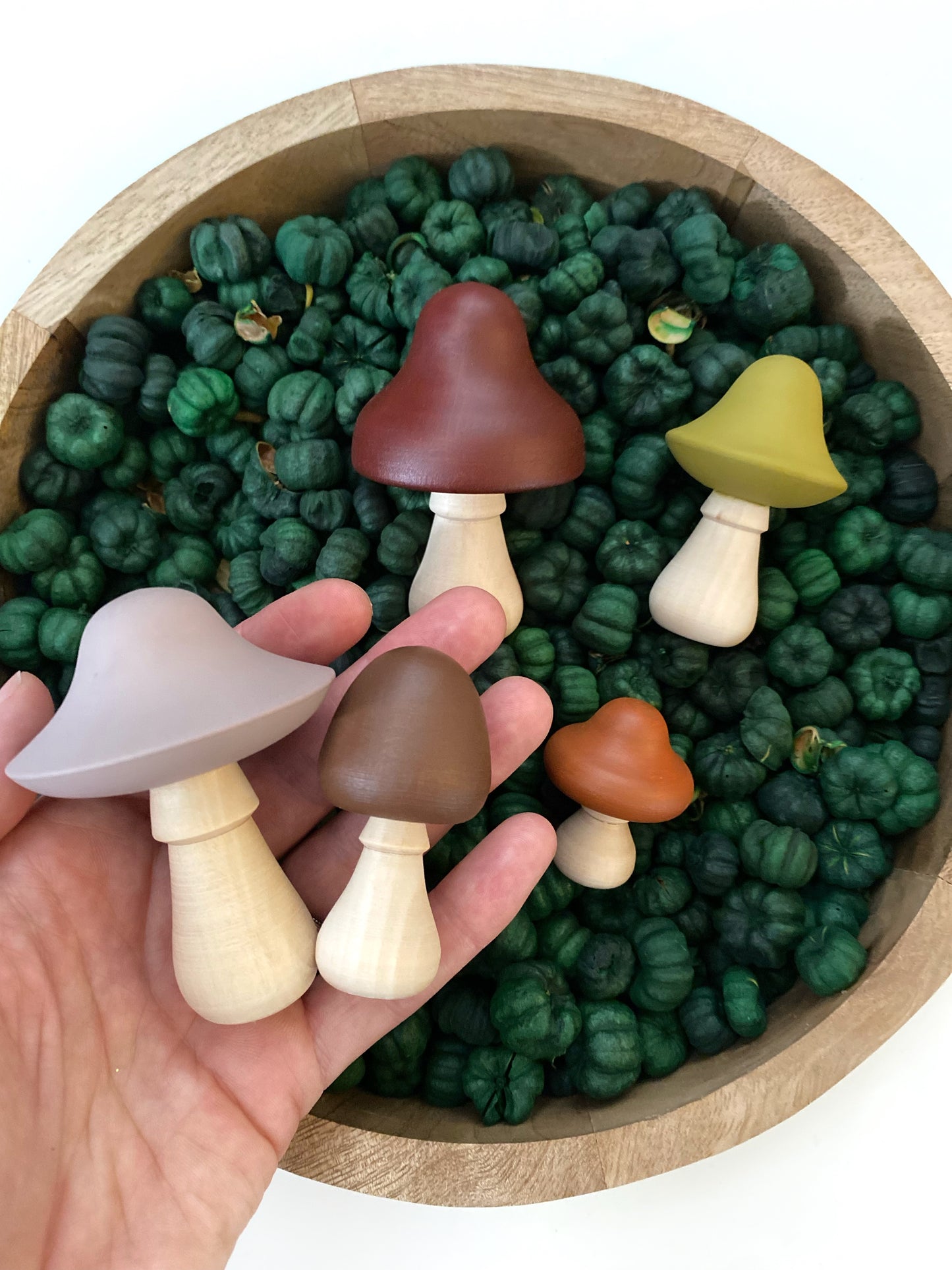 Wood Mushroom Set of 5