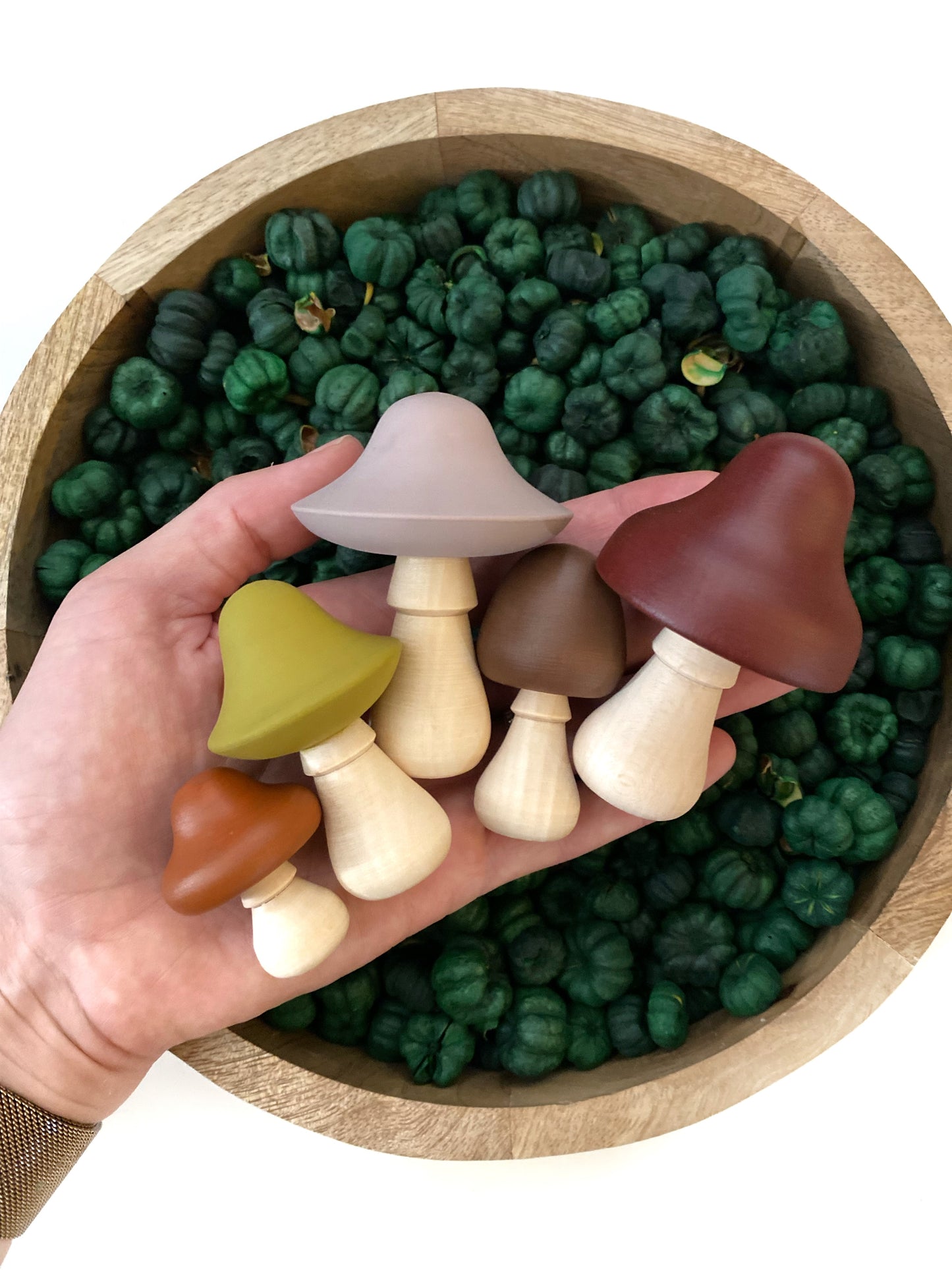 Wood Mushroom Set of 5