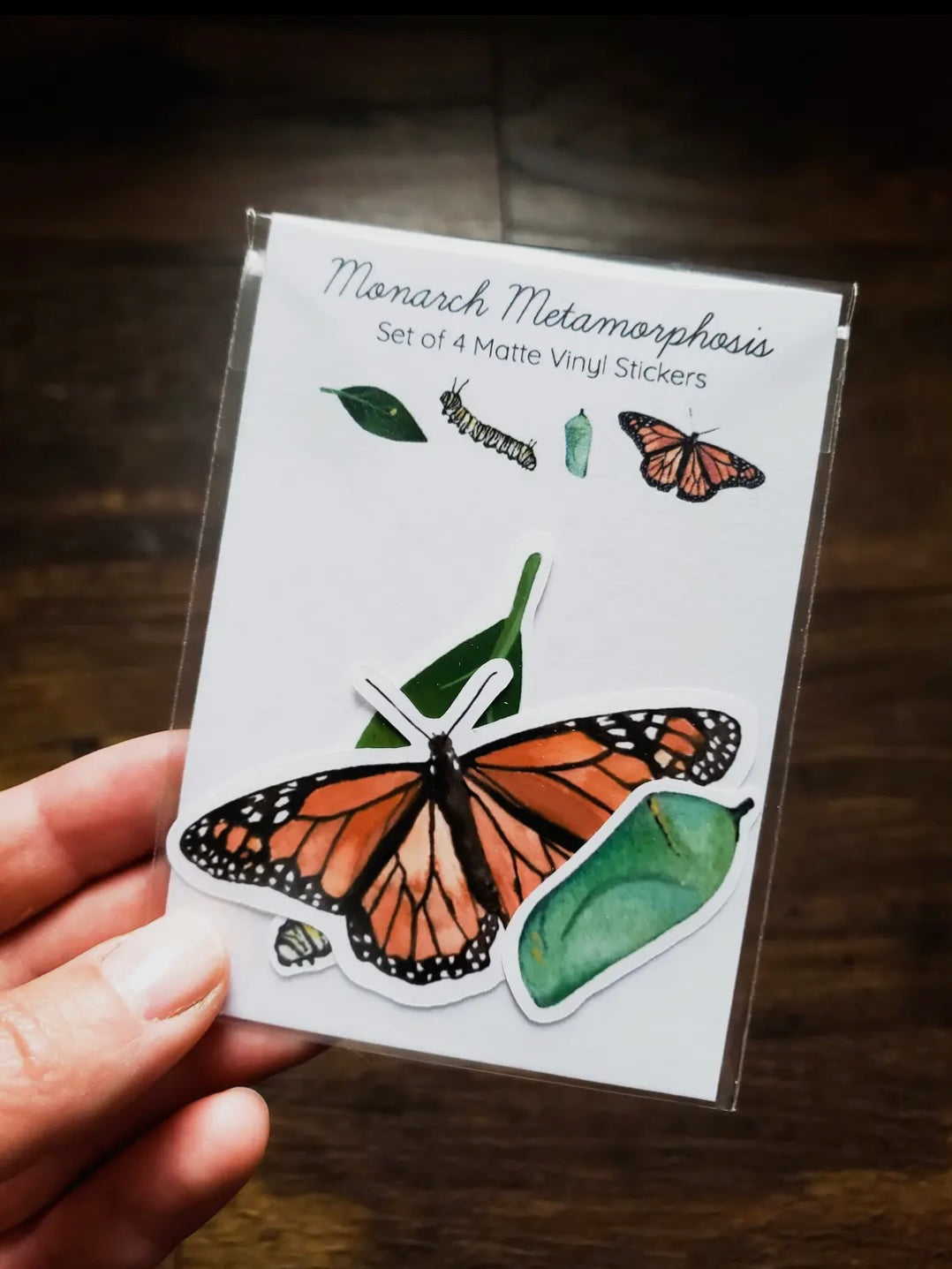 Monarch Butterfly Metamorphosis Sticker Pack, Set of 4