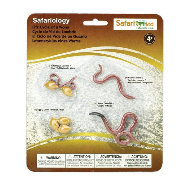 Safari Ltd. Life Cycle of a Worm – tayloredtoys