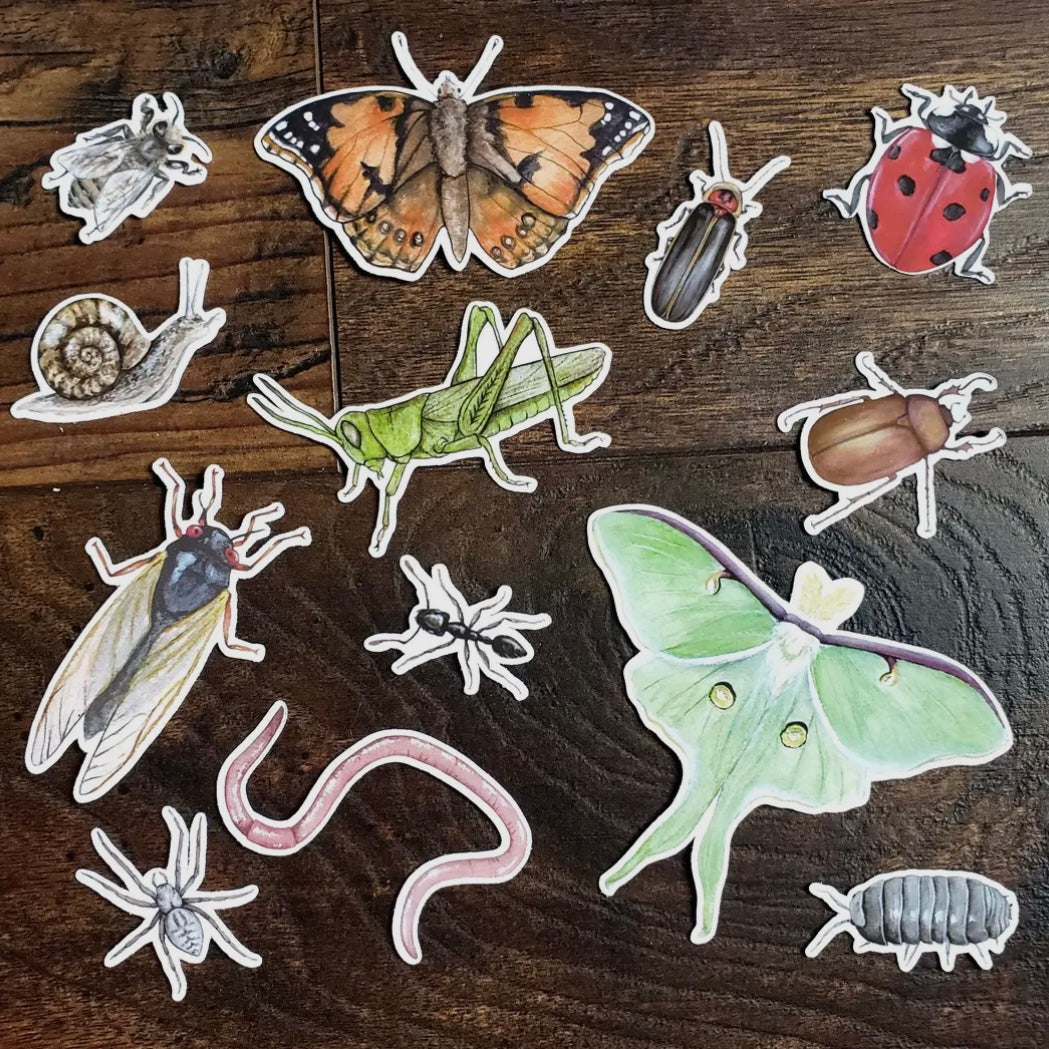 Minibeast Sticker Pack, Set of 13