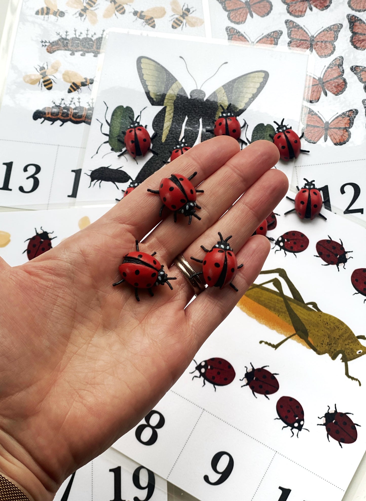 Safari Ltd Ladybug Counters