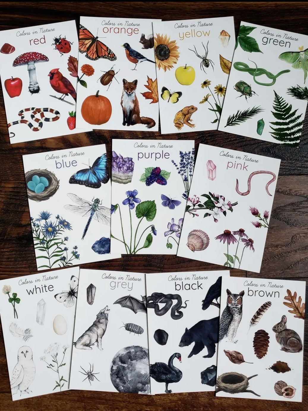 Backyard Nature Art Cards, Colors in Nature