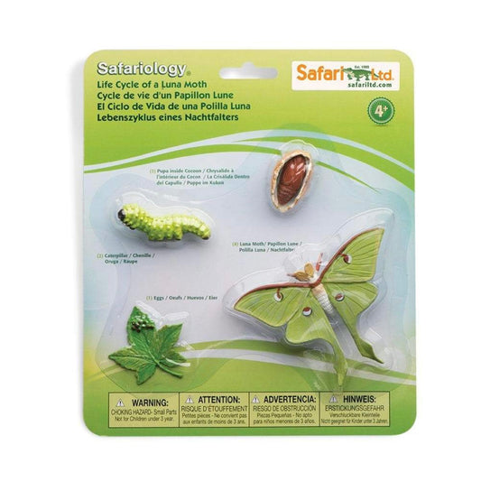 Safari Ltd. Life Cycle of a Luna Moth