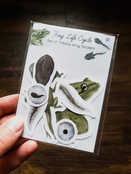 Frog Life Cycle Sticker Pack, Set of 7