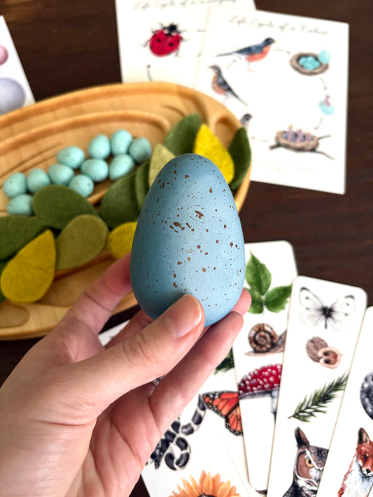 Robins Egg Musical Wood Egg Shaker