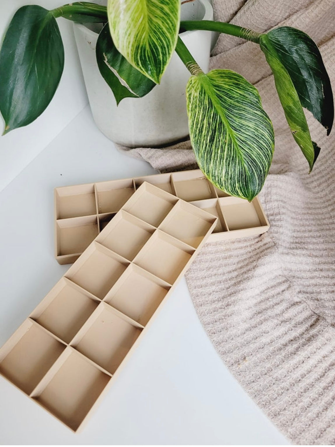 Counting Eco Tray by T. C. Play