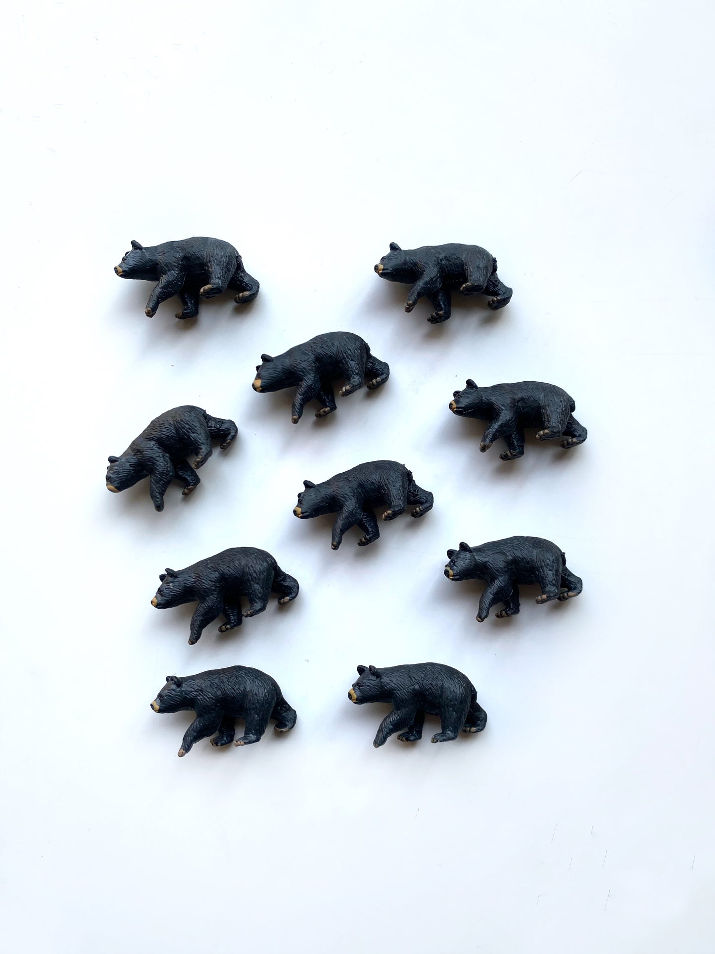 Safari Ltd Bear Counters