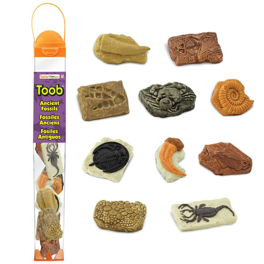 Safari Ltd. Ancient Fossils TOOB®