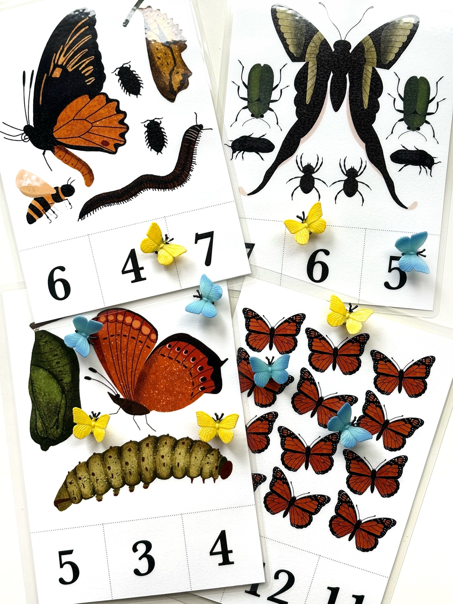 Bug Counting Bundle