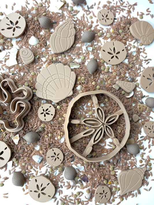 Seashell Sensory Fillers by T. C. Play