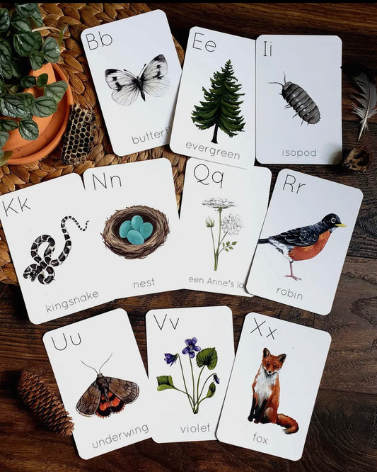 Backyard Nature
Alphabet Flashcards