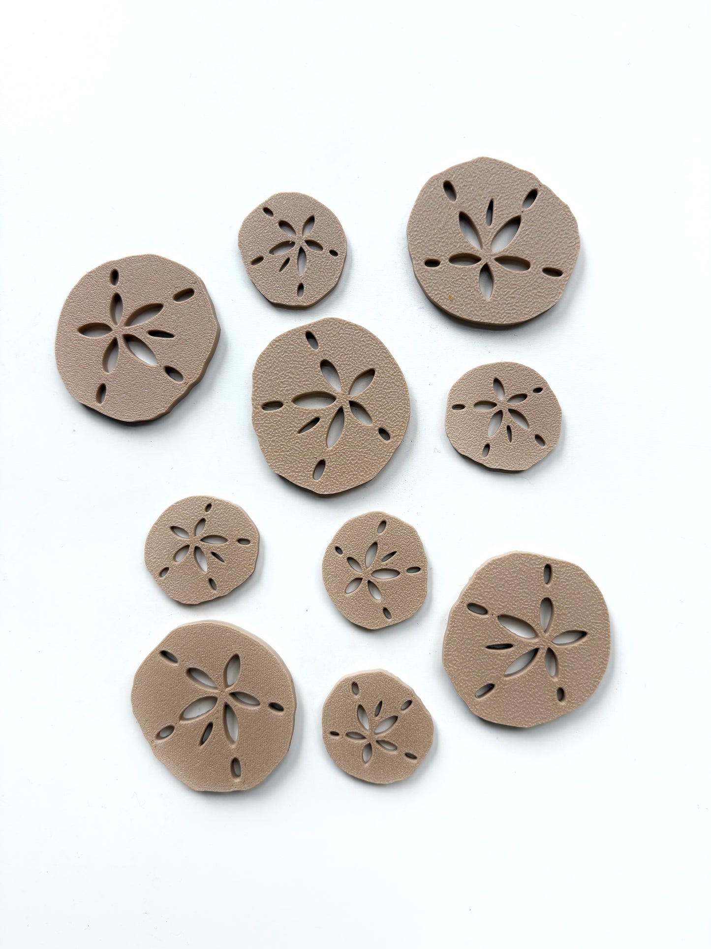 Sand Dollar Sensory Fillers by T. C. Play