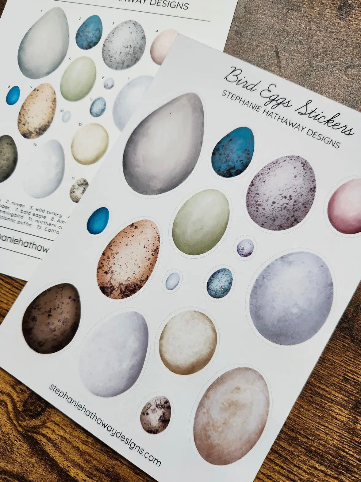 Bird Eggs Stickers Sticker Sheet by Stephanie Hathaway