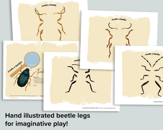 Create a Beetle Activity Bundle