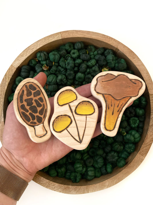 Mushroom Chunky Wood Cutout Set