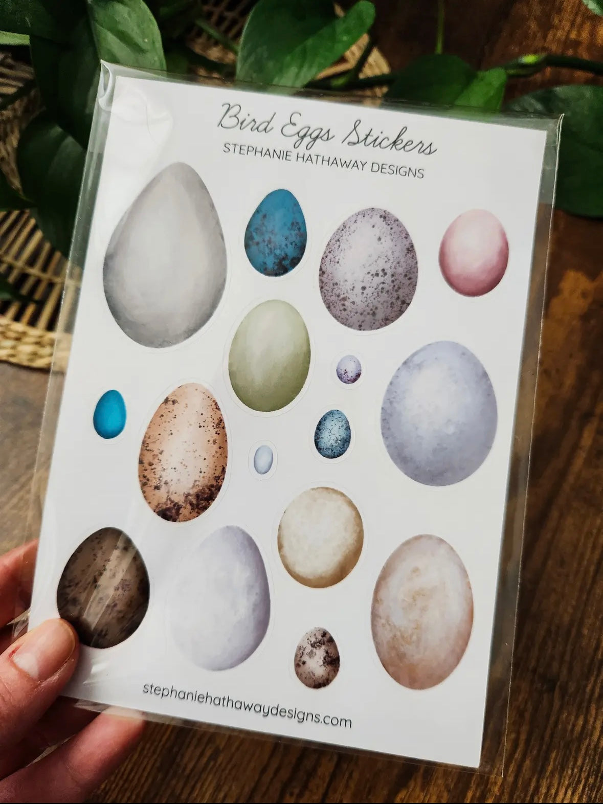 Bird Eggs Stickers Sticker Sheet by Stephanie Hathaway