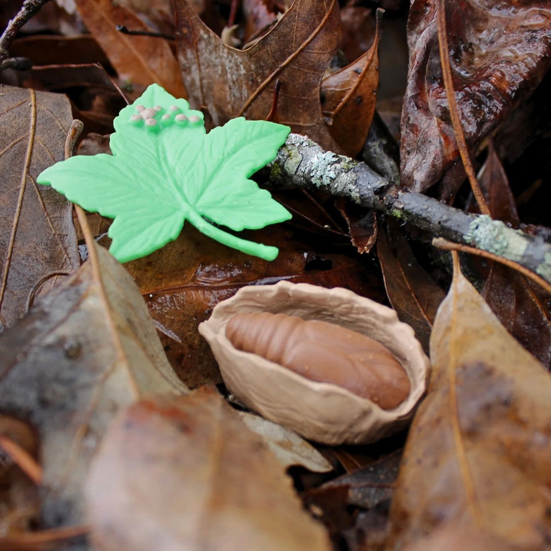 Safari Ltd. Life Cycle of a Luna Moth