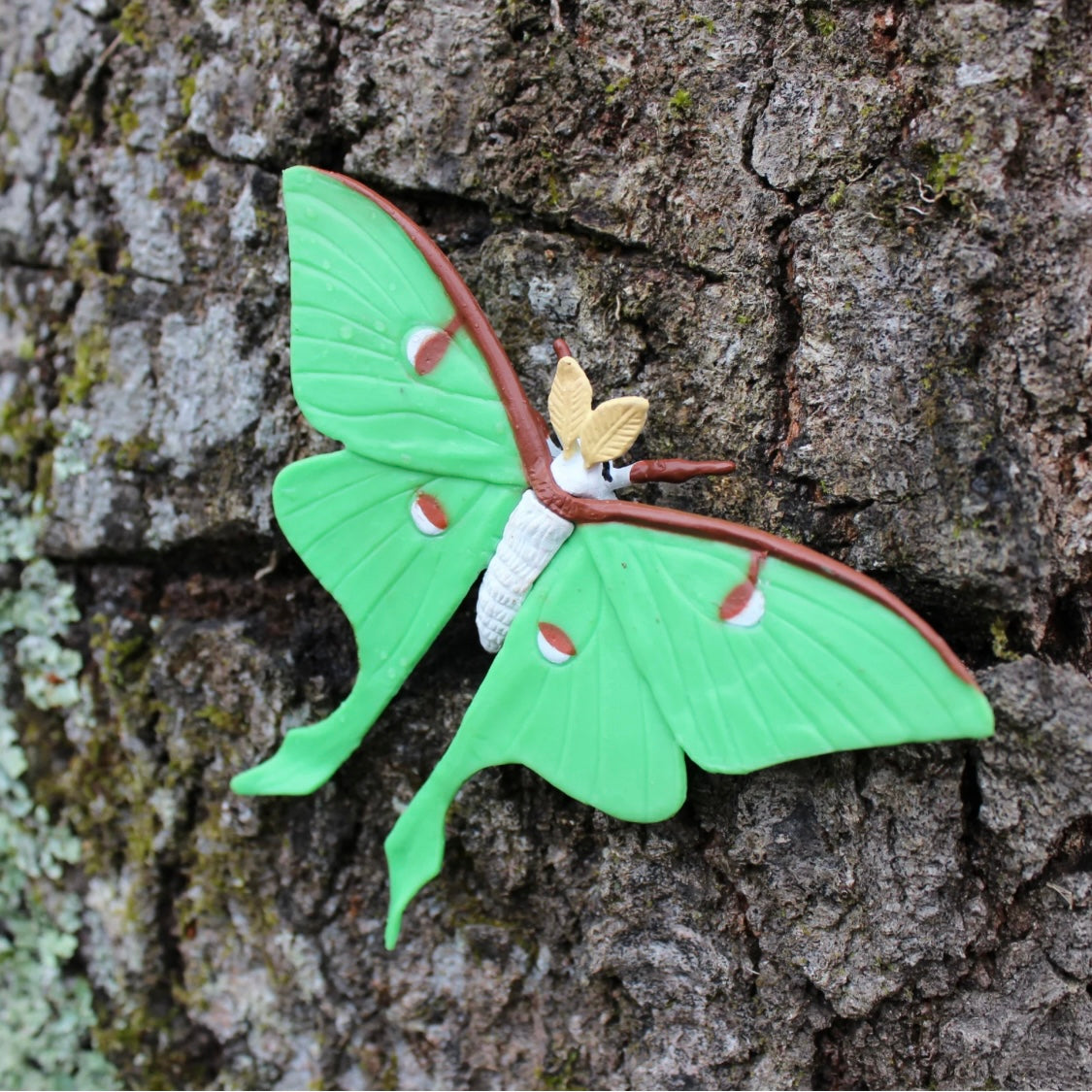 Safari Ltd. Life Cycle of a Luna Moth