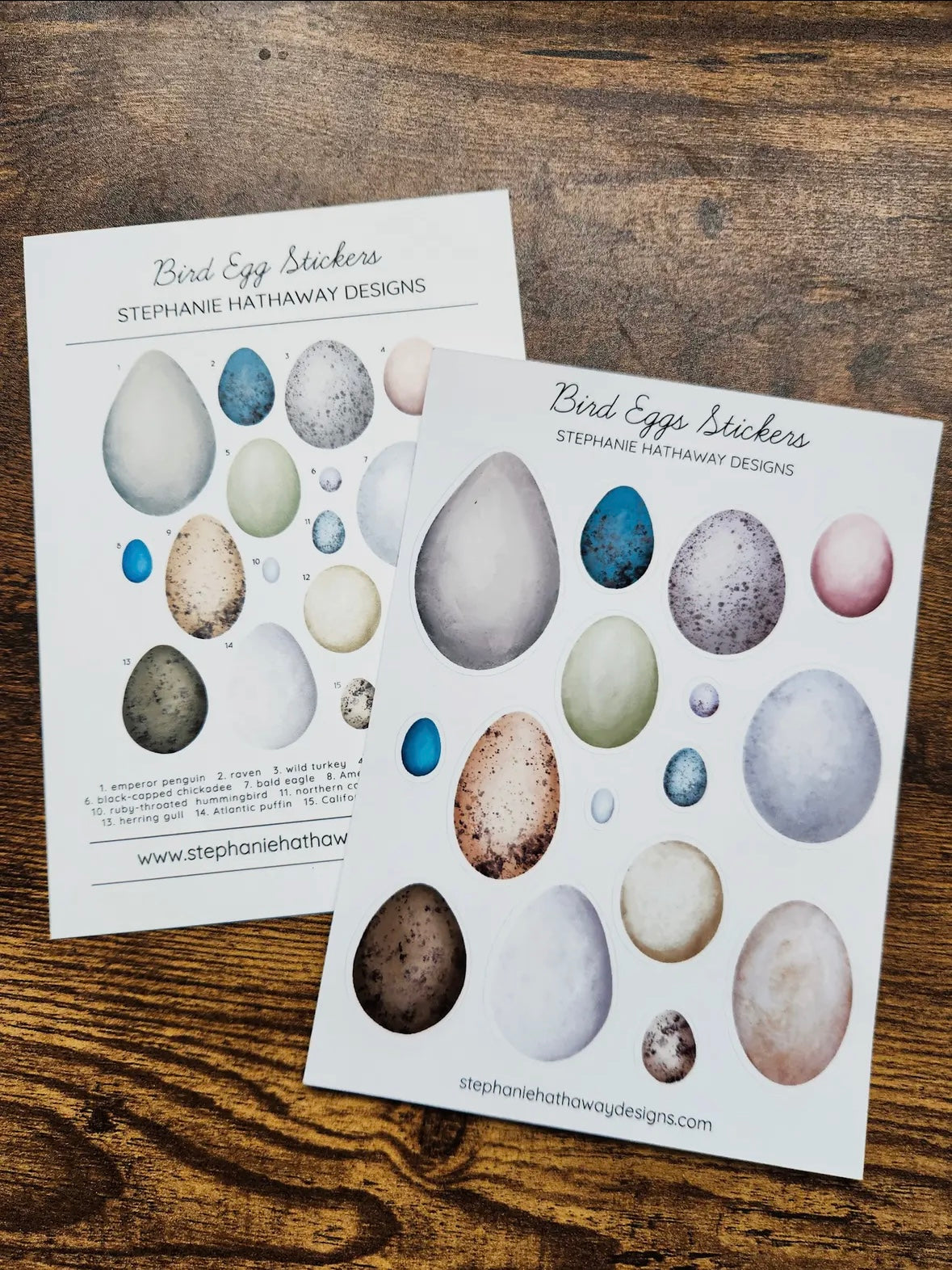 Bird Eggs Stickers Sticker Sheet by Stephanie Hathaway